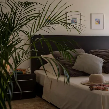 别墅 Luxury Beachfront Palace With Private Pool And Jacuzzi By The In