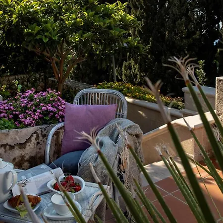 Luxury Palace Near Old Town With Pool