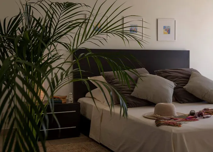 Luxury Beachfront Palace With Private Pool And Jacuzzi By The In Villa *